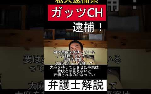 私人逮捕系YouTuber ガッツチャンネル逮捕について弁護士が解説