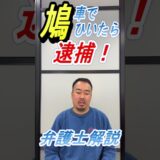 (プロスペクト法律事務所)鳩をひいた運転手が逮捕?鳥獣保護法違反について弁護士が解説
