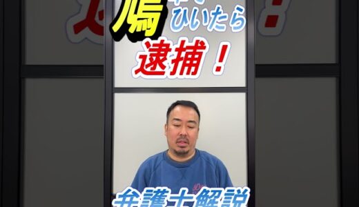 （プロスペクト法律事務所）鳩をひいた運転手が逮捕？鳥獣保護法違反について弁護士が解説