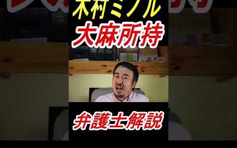 木村フィリップミノルさん大麻所持で逮捕｜刑事事件に強い弁護士坂口靖が解説