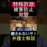 特殊詐欺の被害防止について弁護士が注意点を解説しているYouTube動画のサムネイル画像。千葉の刑事事件に詳しい坂口靖弁護士が特殊詐欺対策を説明。