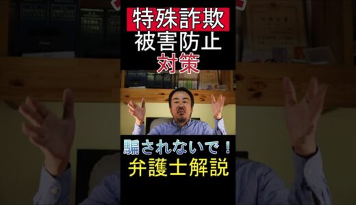 特殊詐欺対策｜被害に遭わないための防止策を千葉県弁護士が解説【坂口靖】